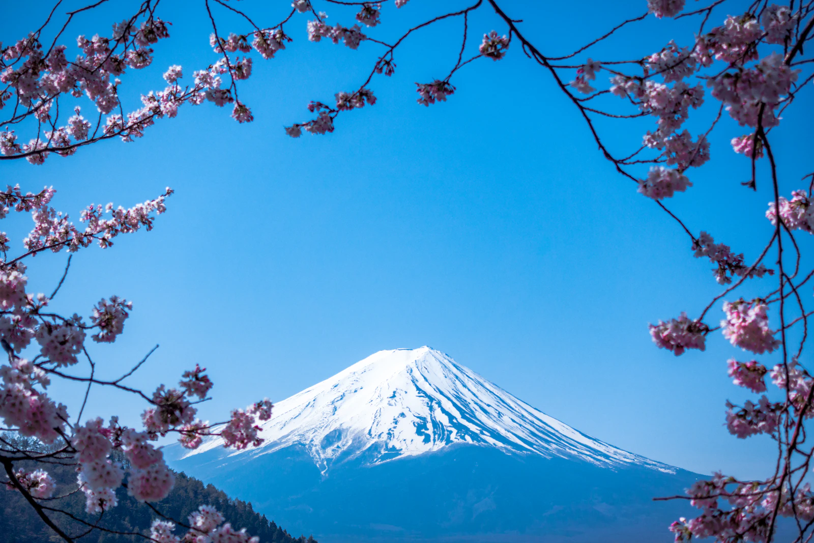 Mount Fuji at sunset